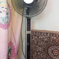 پنکه  سالم سالم