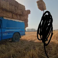 خریدو فروش کاه با قیمت مناسب  ارسال به سراسر کشور