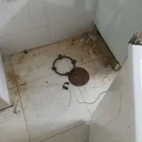 نظافت منزل وغیره|خدمات نظافت|یزد, |دیوار