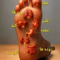 دوره تخصصی سوجوک تراپی|خدمات آموزشی|مشهد, شاهد (شهرک غرب)|دیوار