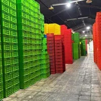 تولید جعبه سبد باکس پالت قفس مرغ