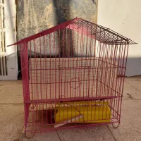 قفس پرنده|لوازم جانبی حیوانات|سبزوار, علمدار|دیوار