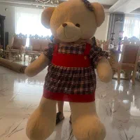 عروسک خرس|اسباب‌بازی بچه|تبریز, |دیوار