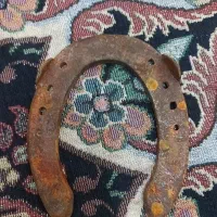 نعل اسب|اسب و تجهیزات اسبسواری|امیدیه, |دیوار