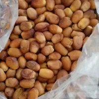 انواع خرما عمده|خوردنی و آشامیدنی|دیواندره, |دیوار