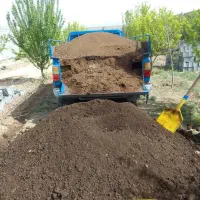 کودحیوانی پوسیده درجه یک بدونه کرایه تحویل درمحل