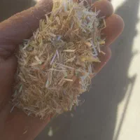 کاه گندم خرمن کوب