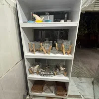 ویترین مغازه|فروشگاه و مغازه|کرمانشاه, |دیوار