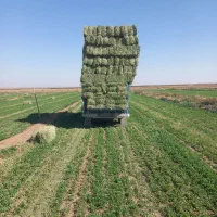 یونجه انباری|خدمات باغبانی و درختکاری|سبزوار, قلعهنو دهزار|دیوار