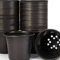 گلدان ژله ای۱۲ سنگین وزن