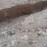 بز و بزغاله در گیلانغرب  ویژنان