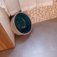 ملزومات قدیمی|کلکسیون اشیاء عتیقه|نیاسر, |دیوار