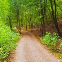 طبیعت گردی، سفر، کافه گردی