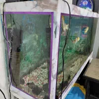 فروش آکواریوم با پایه فروزه وسائل کامل