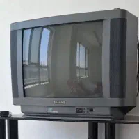 تلویزیون