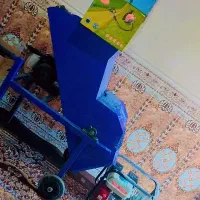 گاو|حیوانات مزرعه|سراوان, |دیوار