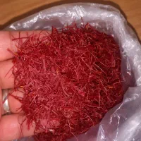زعفرون|خوردنی و آشامیدنی|مشهد, کوی سیدی|دیوار