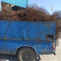 نیسان مدل ۸۶|خودرو سواری و وانت|تهران, زهتابی|دیوار