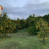 فروش-زمین-300-متری