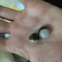 مهره برد اصل