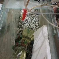 آکواریوم بزرگ