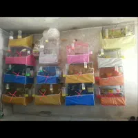 قفس و مرغ مینا