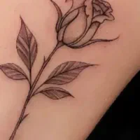 تخفیفات شگفتانه ما تا اردیبهشت ادامه دارد