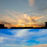 فروش ویژه باغ