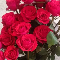 فروش شاخه رز طبیعی و مصنوعی