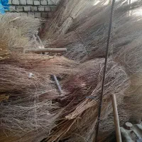 جارو بوته ای