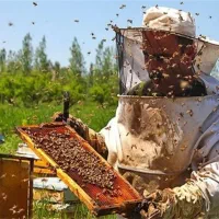 عسل اردبیل کوه سبلان