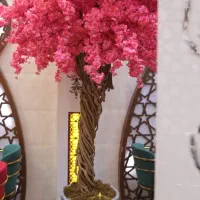 صندوقدار خانم عرب زبان