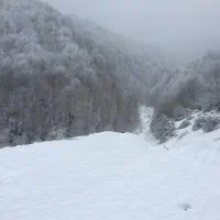 اجاره ویلا و سوئیت در یلاق|اجارهٔ کوتاهمدت ویلا و باغ|آلاشت, |دیوار