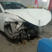 دنا بورسی تصادفی