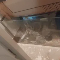 اکواریوم با تمام وسیله هاش ۶۰۰