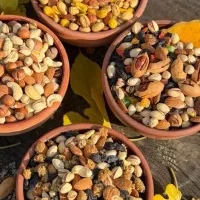 فروشنده خانم