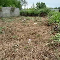 هرس و علف زنی وکلیه خدمات باغبانی|خدمات باغبانی و درختکاری|بندر انزلی, دهکده ساحلی|دیوار