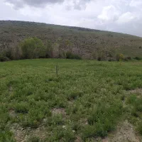 فروش زمین کشاورزی