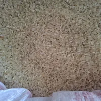 برنج کامفیروزی