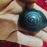 سنگ کلکسیونی|کلکسیون اشیاء عتیقه|ساوه, |دیوار