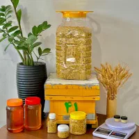عسل ارگانیک، ژل رویال، گرده تحویل درب منزل|خوردنی و آشامیدنی|مشهد, تبادکان|دیوار