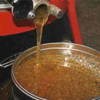 عسل کنار ویژه