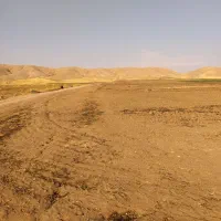 اجاره 14هکتار زمین کشاورزی سیستمی برای چغندرگندم