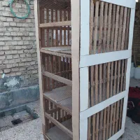 کبوتر|پرنده|خرمشهر, |دیوار