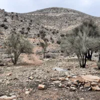 فروش زمین ۵۰۰ متری در باجگاه|فروش زمین و ملک کلنگی|شیراز, رکن‌آباد|دیوار