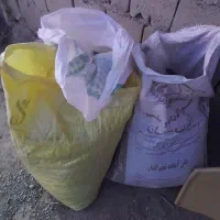 زیل کبوتر|لوازم جانبی حیوانات|ملکان, |دیوار