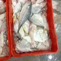 ماهی مخلوط سرخو