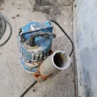 کف کش دو اینچ و جوجه کشی