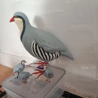 مجسمه پرنده کبک پولیستر فیگور کادو هدیه