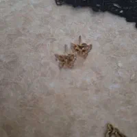 بدلیجات|بدلیجات|مشهد, شیرودی|دیوار